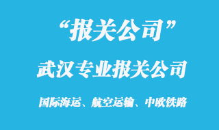 武漢專業報關公司